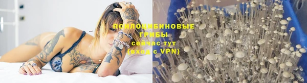 не бодяженный Беломорск