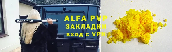 индика Богданович
