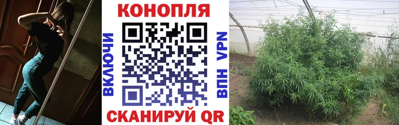 Шишки марихуана OG Kush  Краснообск 